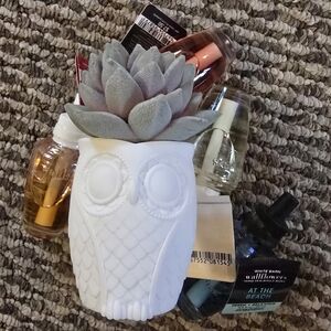 White Owl Ceramic Vase with Succulent -4 Neutral Air Freshner With Night Sensor